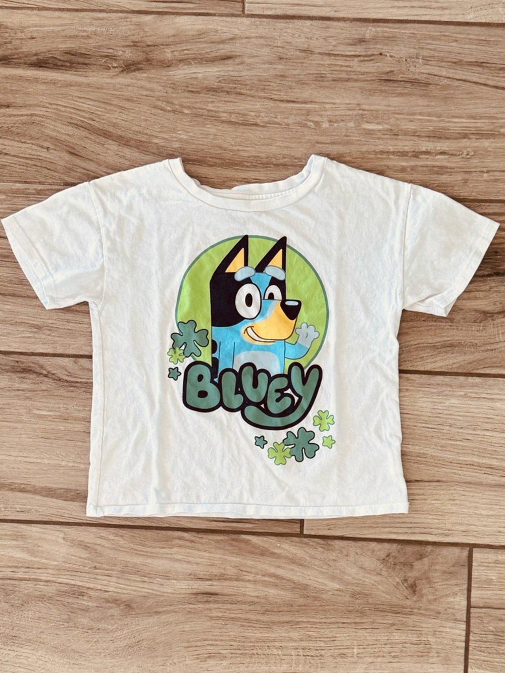 Bluey Kids' Short Sleeve Lucky or St. Patrick’s Themed Tee